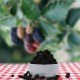 Karadut Kurusu (Güneşte Kurutma) - 150 Gram Karadut Kurusu (Güneşte Kurutma) - 150 Gram